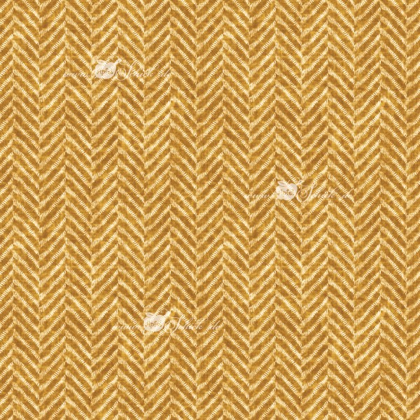 Herringbone Senf BIO-Eigenproduktion (kbA)